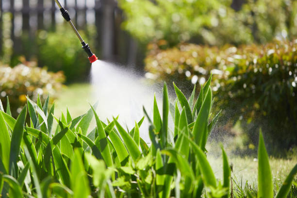 24/7 Emergency Bed Bug Control experts in Wonder Lake, IL