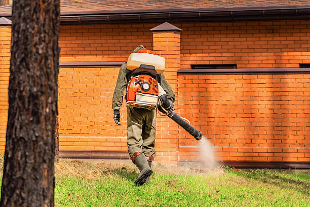 Trusted Bed Bug Control service in Wonder Lake, IL - Nex Pest Control